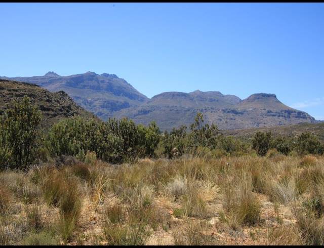 86HA FARM FOR SALE IN CERES RURAL